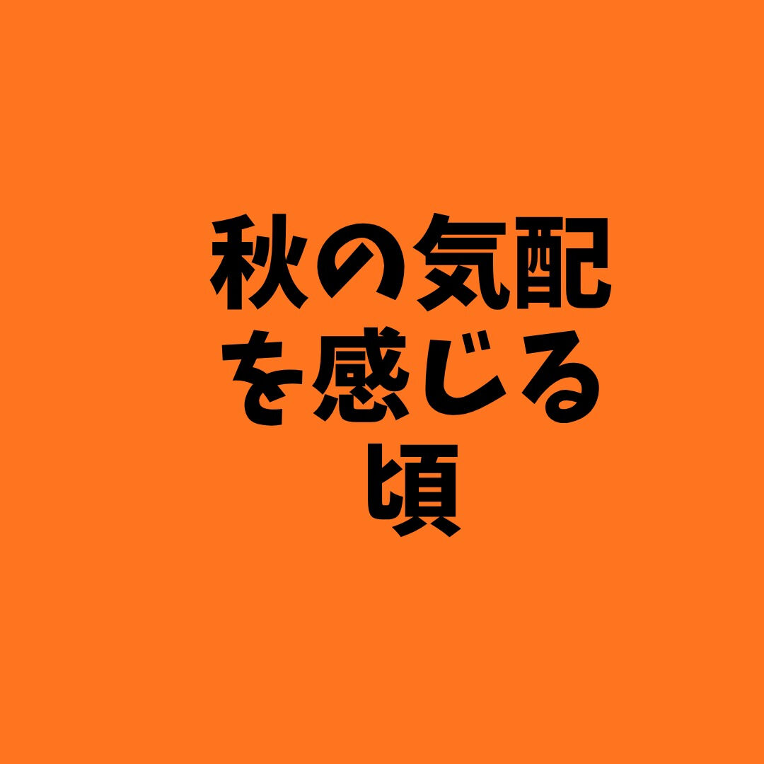 🌕 朝晩が少しずつ涼しくなり、秋の気配を感じる頃🍂
