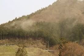 花粉症でお悩みの方にお奨めの足つぼ