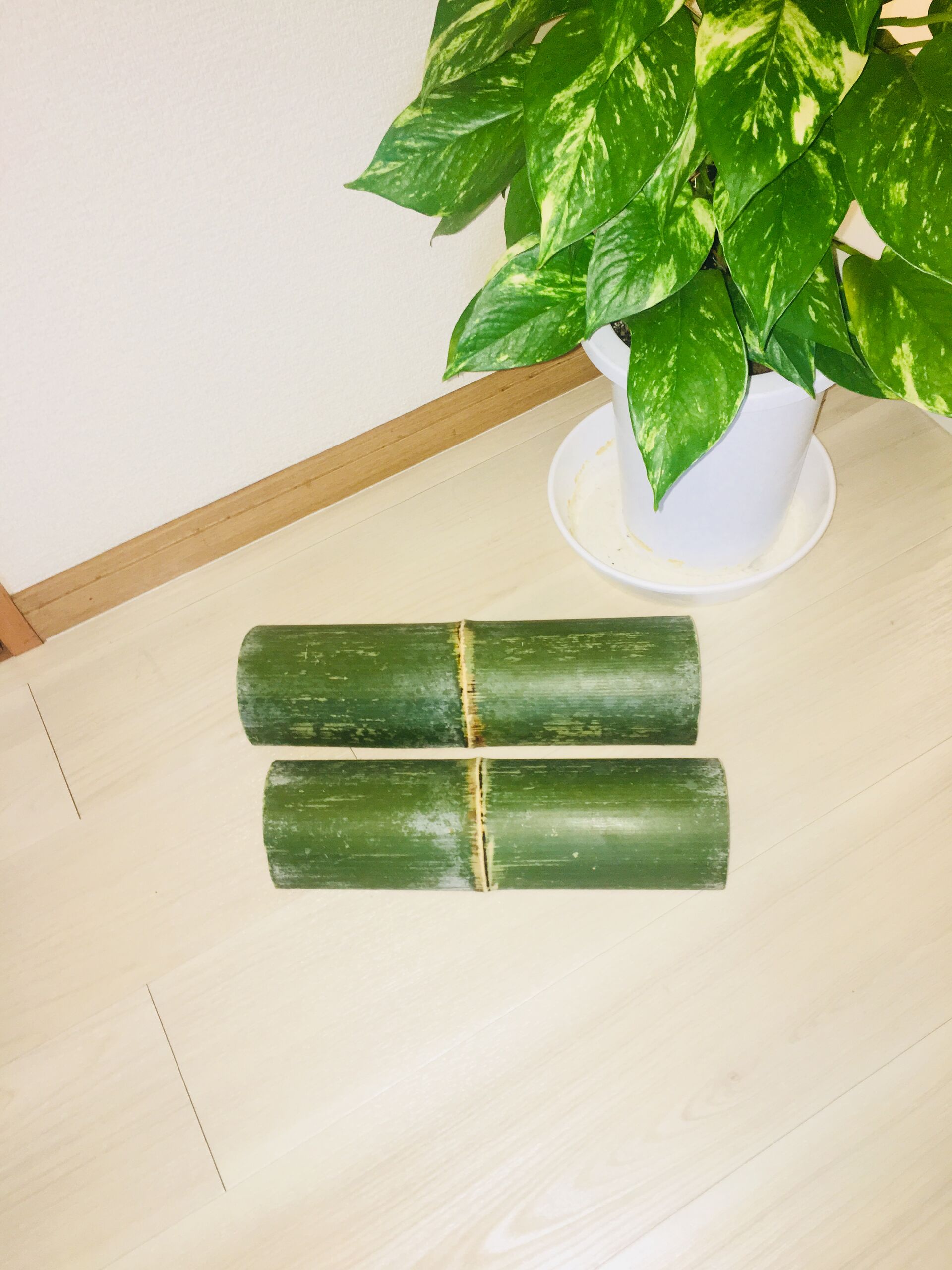 青竹踏み