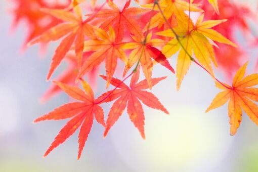 自分でできる手指マッサージでコリ解消～
