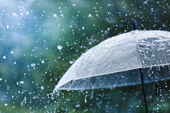 春の雨