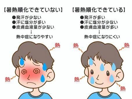 暑熱順化で熱中症予防
