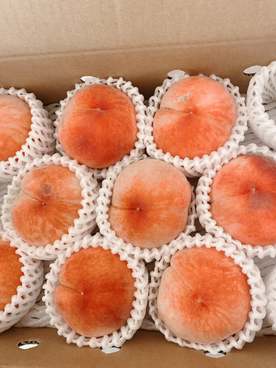 嬉しいお届け物