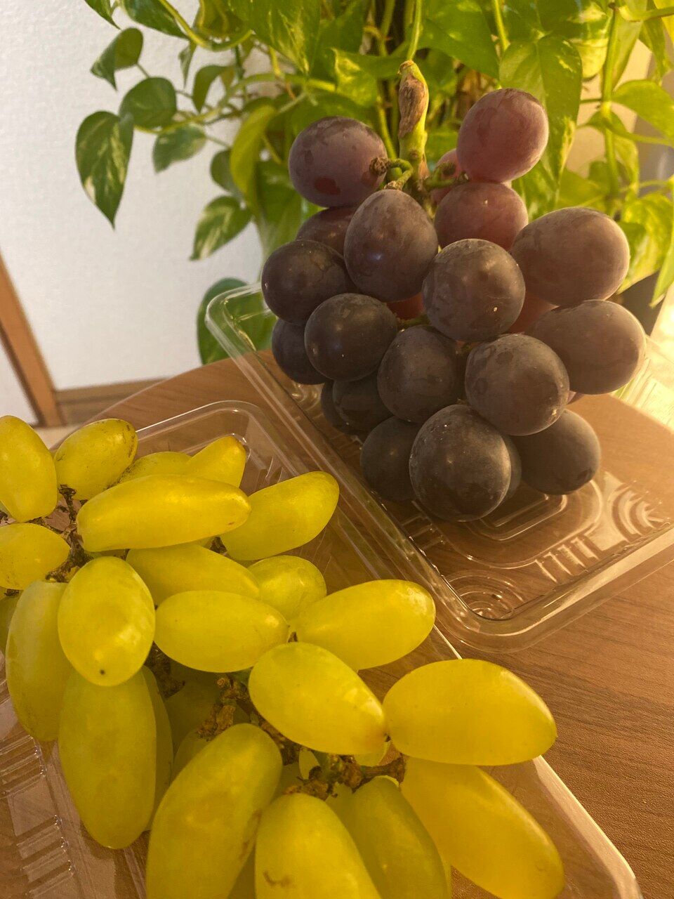 夏の味覚