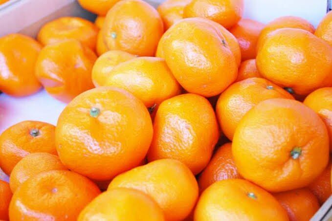 冬の果物＊みかん＊