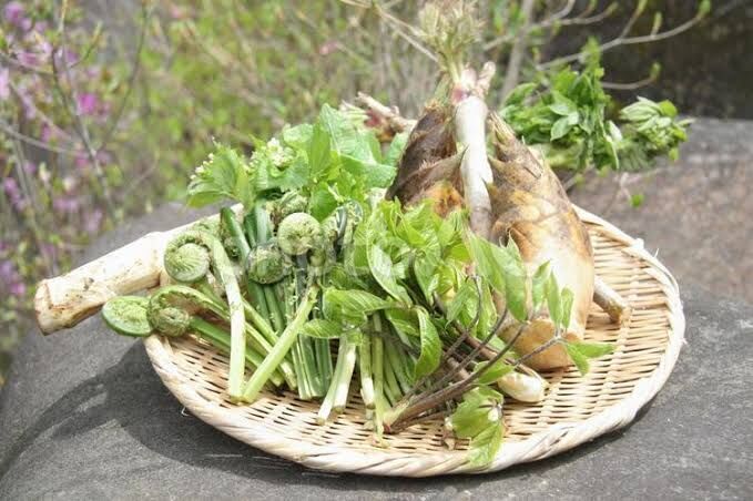 春の味覚