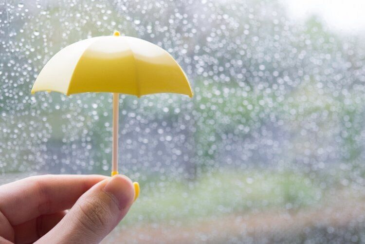 雨の日のリラクゼーション