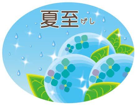 今日は夏至
