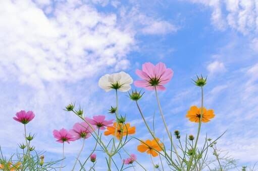 10月スタート