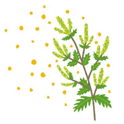 秋の花粉症