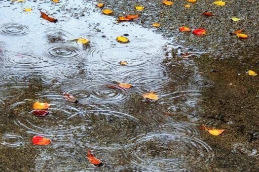 秋雨と体調不良